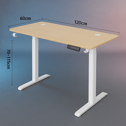 Electric Sit-Stand Computer Desk