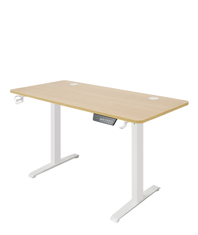 Electric Sit-Stand Computer Desk